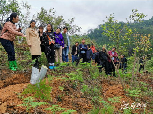 全國(guó)最美林草科技推廣員劉蕾 把科技論文寫在贛鄱大地上
